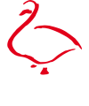 Bergen Dun