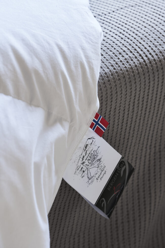 Antarktis moskusdunsdyne fra Bergen Dun